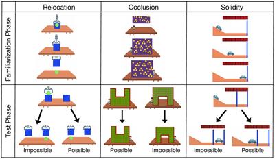 Exploring individual differences in infants’ looking preferences for impossible events: The Early Multidimensional Curiosity Scale